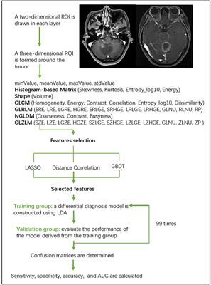 Frontiers Glioblastoma And Anaplastic Astrocytoma Differentiation